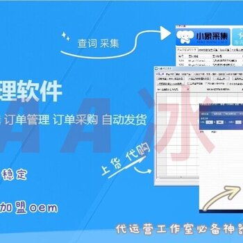 拼多多無(wú)貨源店群軟件開(kāi)發(fā)與生態(tài)賦能 技術(shù)、招商與運(yùn)營(yíng)一體化解決方案